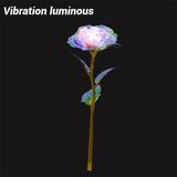 Colorful LED Fairy Rose Artificial Galaxy Rose