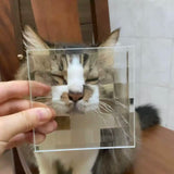 Creative Mosaic Pixel Glass