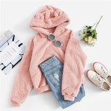 Teddy Pullover Hoodie