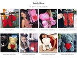 Love Teddy Rose Flower
