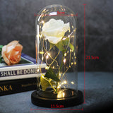 Enchanted Galaxy Sparkly Rose