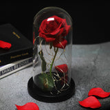 Enchanted Galaxy Sparkly Rose
