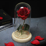 Enchanted Galaxy Sparkly Rose