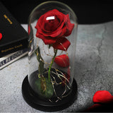 Enchanted Galaxy Sparkly Rose