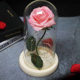 Enchanted Galaxy Sparkly Rose