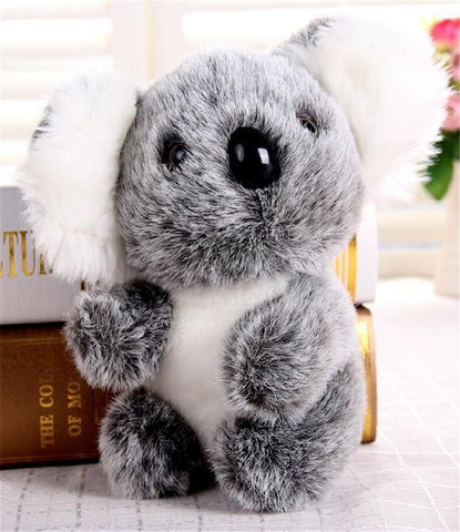 Koala Bear Plush