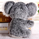 Koala Bear Plush