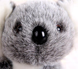 Koala Bear Plush