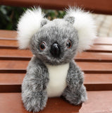 Koala Bear Plush