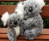 Koala Bear Plush