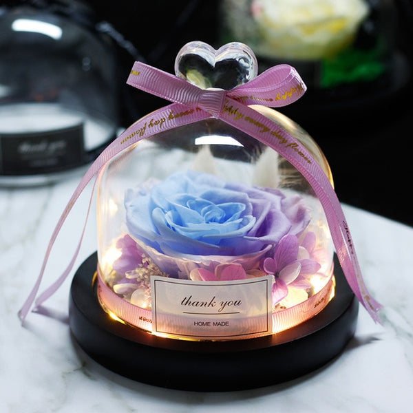 Eternal Rose in Glass LED