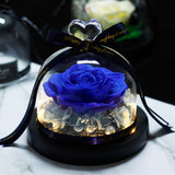 Eternal Rose in Glass LED