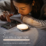 Rechargeable Hand Lamp Warmer