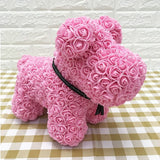 Love Teddy Rose Flower