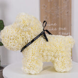 Love Teddy Rose Flower