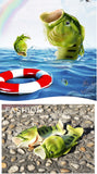 Fish Slippers