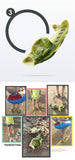 Fish Slippers