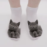 Cat Print Socks