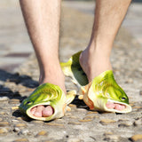 Fish Slippers