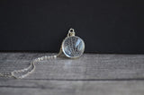 Kabbalah Tree Of Life Real Dried Leaves 925 Sterling Silver Chain Necklace