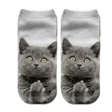 Cat Print Socks