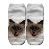 Cat Print Socks