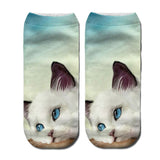 Cat Print Socks