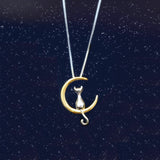Cat Moon