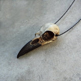 3D Replica Resin Raven Skull Necklace
