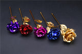24k Gold Foil Rose