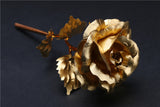 24k Gold Foil Rose