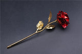24k Gold Foil Rose
