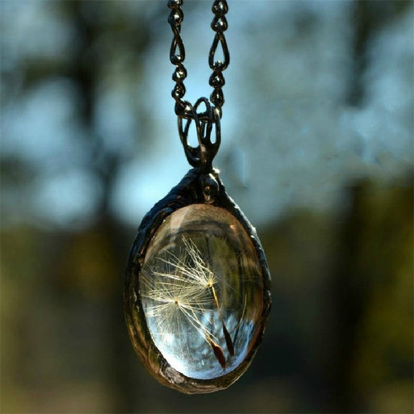Resin Sphere Dried Dandelion Seed