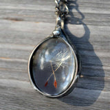 Resin Sphere Dried Dandelion Seed