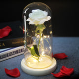 Enchanted Galaxy Sparkly Rose