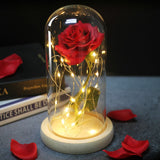 Enchanted Galaxy Sparkly Rose