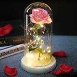 Enchanted Galaxy Sparkly Rose