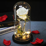 Enchanted Galaxy Sparkly Rose