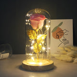 Enchanted Galaxy Sparkly Rose