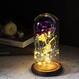 Enchanted Galaxy Sparkly Rose