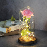 Enchanted Galaxy Sparkly Rose