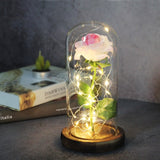 Enchanted Galaxy Sparkly Rose