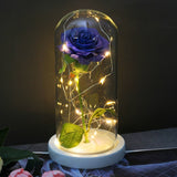 Enchanted Galaxy Sparkly Rose