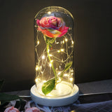 Enchanted Galaxy Sparkly Rose