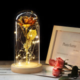 Enchanted Galaxy Sparkly Rose