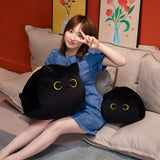 Black Cat Plush