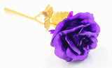 24k Gold Foil Rose