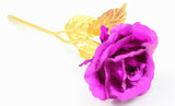 24k Gold Foil Rose