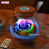 Rose Bloom™ - LED Bottle Lamp