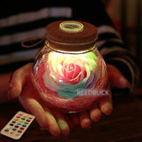 Rose Bloom™ - LED Bottle Lamp